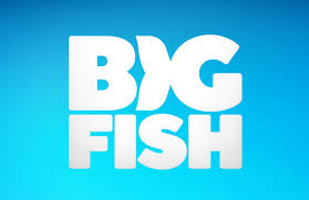 Big Fish Games Coupons